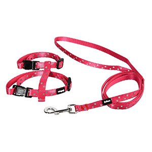 ARNES+CORREA GATO ANIMAL PRINT T-XS FUCSIA